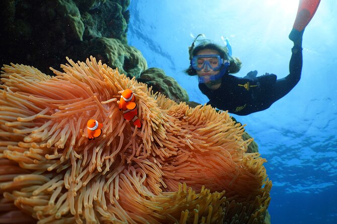 Silversonic Outer Great Barrier Reef Cruise from Port Douglas - The Catamaran Day Plan: Reef Time Plus Real Meals