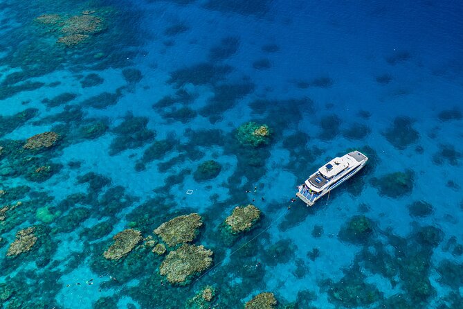 Silverswift Dive and Snorkel Great Barrier Reef Cruise - Key highlights worth circling first