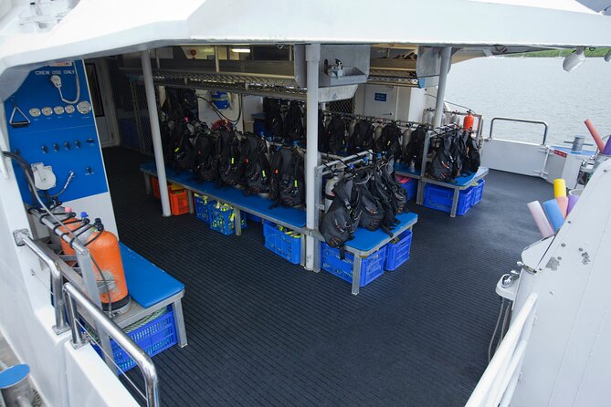 Silverswift Dive and Snorkel Great Barrier Reef Cruise - Timing, breaks, and what stays included all day