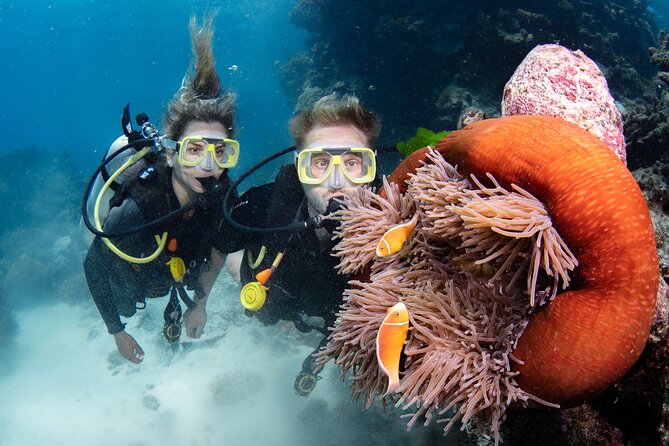 Silverswift Dive and Snorkel Great Barrier Reef Cruise - Food on board: buffet lunch, real tea breaks, and the little comforts