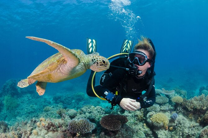 Silverswift Dive and Snorkel Great Barrier Reef Cruise - Price and value: what you get for $212.30, and what costs extra