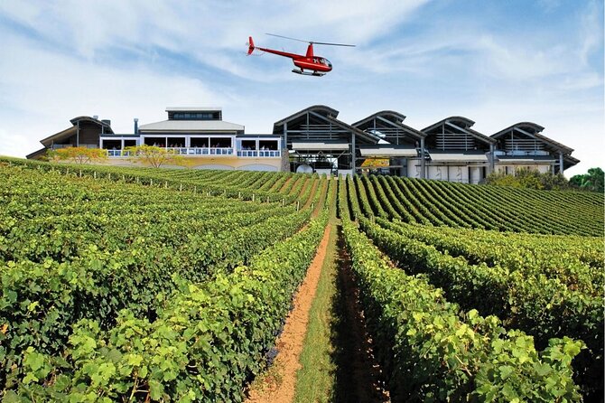 Sirromet Winery + CBD & Mt Coot-tha Private Helicopter Experience - Archerfield Check-In, Safety Brief, and What to Expect Before You Fly