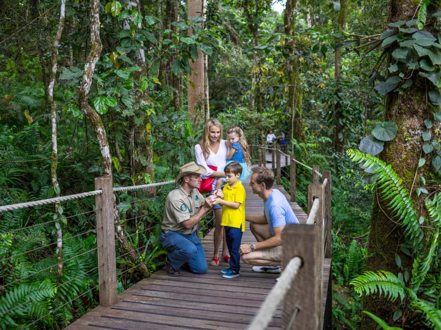 Skyrail Rainforest Cableway Round-Trip Experience - The 7.5-kilometer Skyrail glide over Barron Gorge National Park