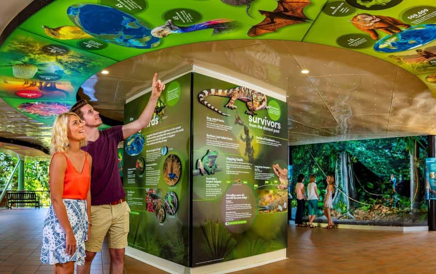 Skyrail Rainforest Cableway Round-Trip Experience - Barron Falls Station, The Edge Lookout, and the CSIRO interactive centre