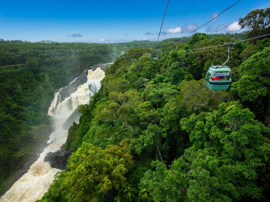 Skyrail Rainforest Cableway Round-Trip Experience - Should you book Skyrail Rainforest Cableway round trip?