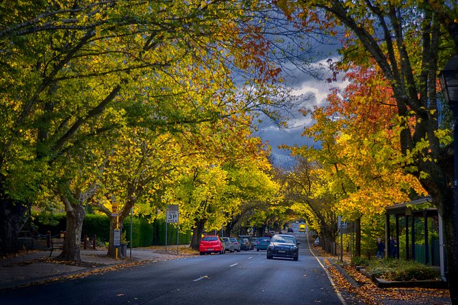 Small Group Adelaide Hills and Hahndorf Hideaway Tour from Adelaide - Melba’s Chocolate: a quick break that keeps the day fun