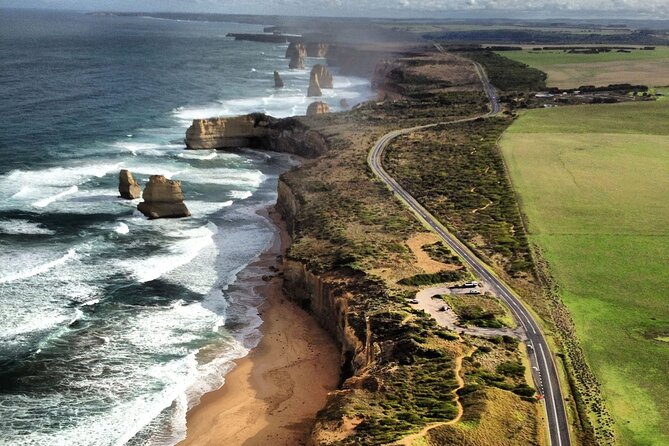 Small-Group Phillip Island Afternoon Day Trip from Melbourne - Value check: is $150.01 worth it for this wildlife-heavy day?