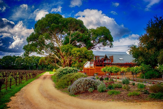 Small-Group River Murray Dark Sky and Sunset Tour with Dinner - Price, group size, and whether it feels like value