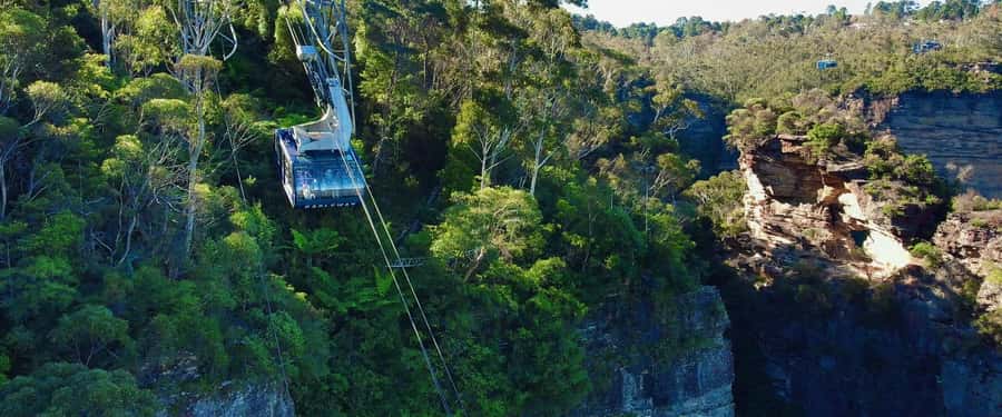 Small Group: Zoo, Blue Mountains, Scenic World Mandarin Tour - Price value: why $147 can be more than a seat on a bus
