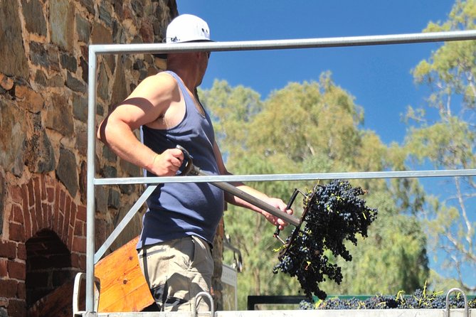 Small Tour Barossa Valley Voyager Tour from Adelaide - Seabrook Wines: a relaxed deck tasting in a settlers’ cottage