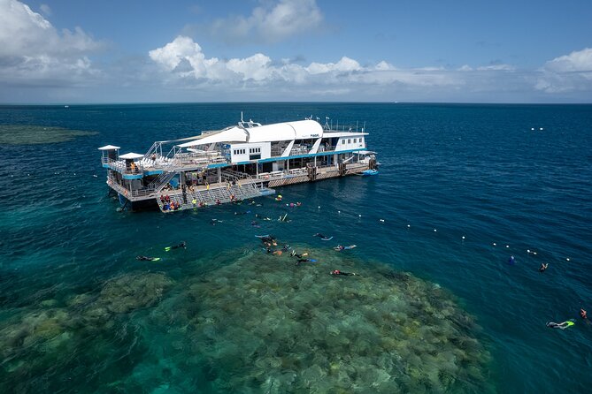 Snorkel & Dive the Reef: Sustainable, Scientific & Cultural Tour - Key Reef Highlights at a Glance