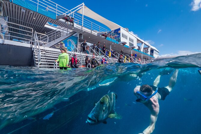 Snorkel & Dive the Reef: Sustainable, Scientific & Cultural Tour - Arriving at the Reef Magic Marine World Platform (What Makes It Different)