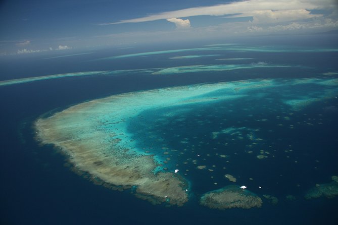 Snorkel & Dive the Reef: Sustainable, Scientific & Cultural Tour - Morning and Afternoon Marine Talks: How It Makes the Reef Click