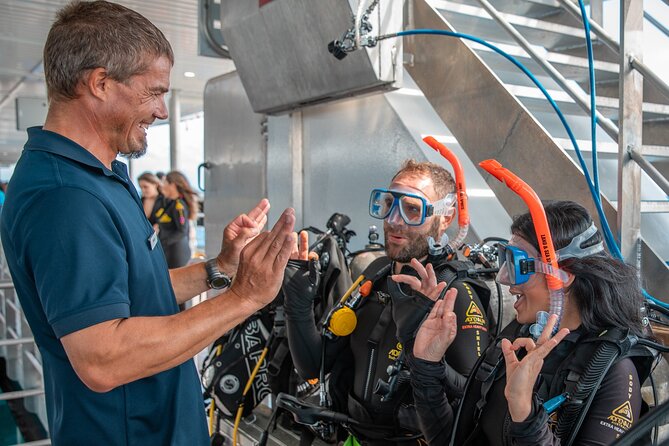 Snorkel & Dive the Reef: Sustainable, Scientific & Cultural Tour - Lunch, Tea, and Motion-Sickness Planning That Actually Helps