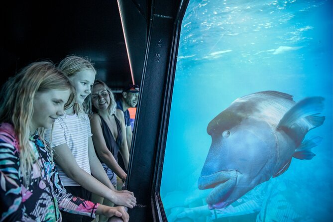 Snorkel & Dive the Reef: Sustainable, Scientific & Cultural Tour - The Included Gear and Personal Prep That Make Snorkeling Easier