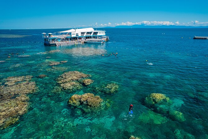 Snorkel & Dive the Reef: Sustainable, Scientific & Cultural Tour - The 8:00 am Cairns Start, Then a Speedy Ride Out