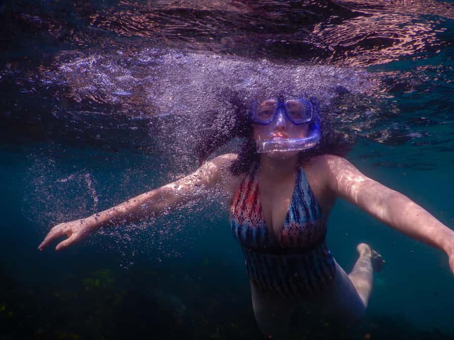 Snorkel Sydney’s Stunning Marine Reserve on a Private Tour - Clovelly Free Car Park and the safety-first start