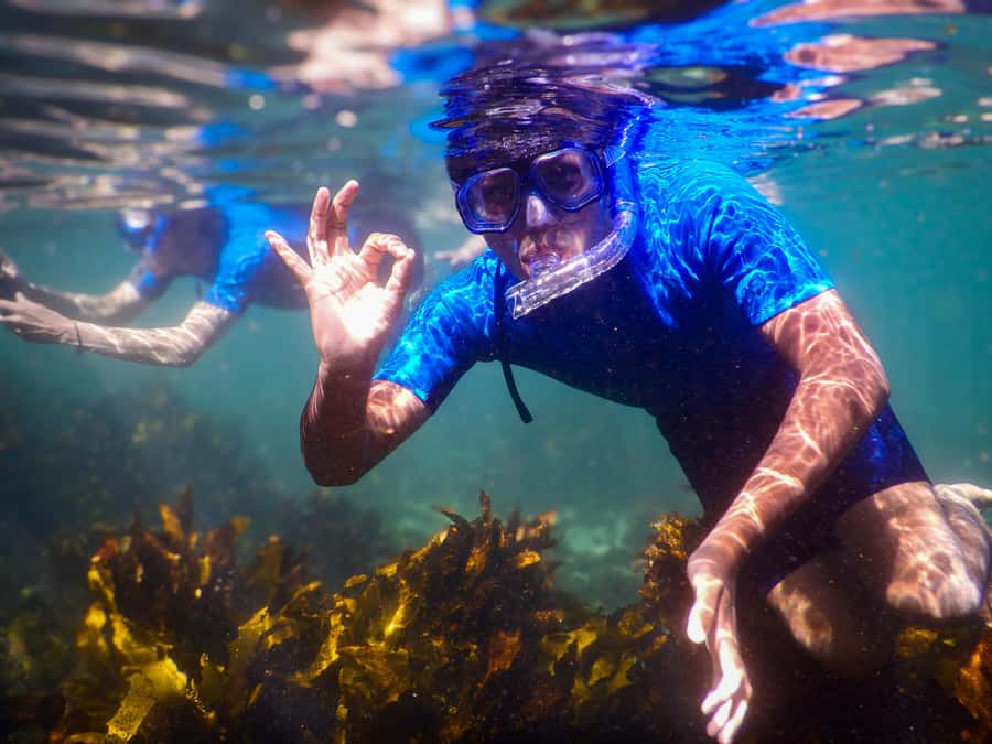 Snorkeling Tour: Discover Sydney’s impressive sea life - Why Clovelly Is a Smart Base for Sydney Snorkeling
