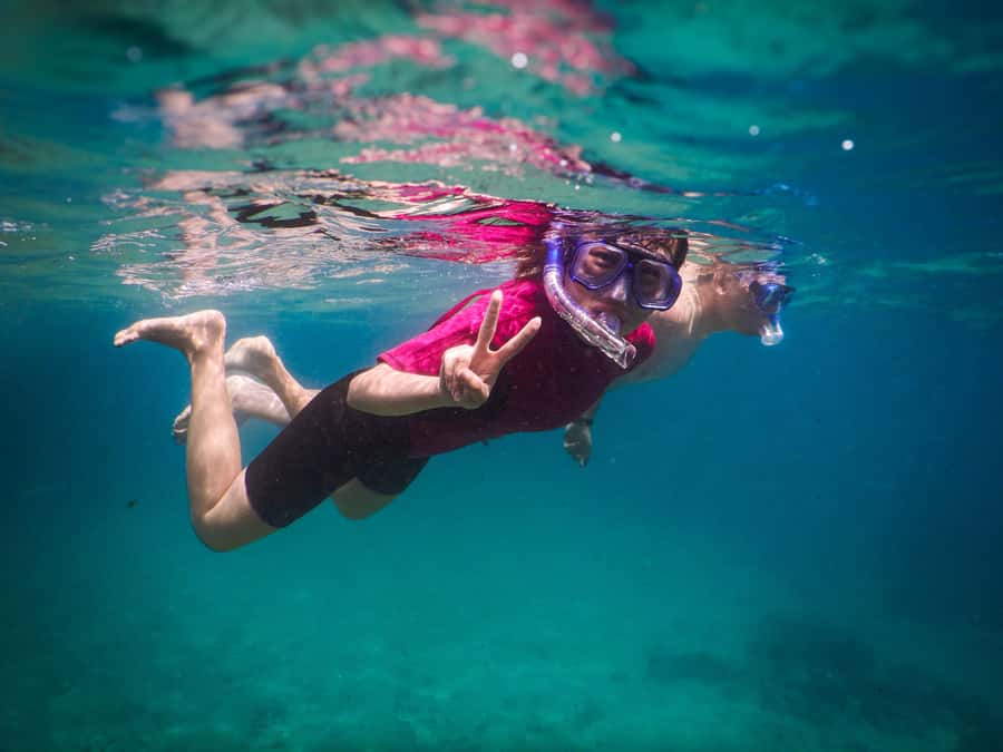 Snorkeling Tour: Discover Sydney’s impressive sea life - Your Underwater Photos and Video, Without Bringing a Camera