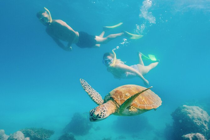 Snorkelling and Glass Bottom Boat at Green Island from Cairns - Glass Bottom Boat: The Reef View Without the Swim Stress