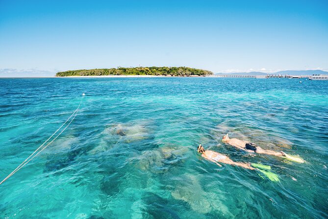 Snorkelling and Glass Bottom Boat at Green Island from Cairns - Rainforest Walk on a Coral Cay: The Part People Forget to Plan For