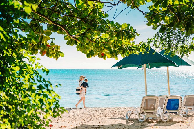 Snorkelling and Glass Bottom Boat at Green Island from Cairns - Who This Trip Fits Best (And Who Might Want a Different Plan)