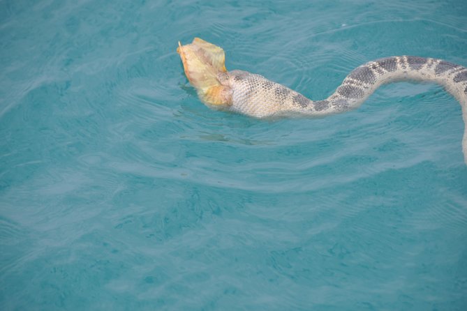Snubfin Dolphin Eco Cruise from Broome - Getting to the boat: Broome Fishing Club meeting point and pickup options