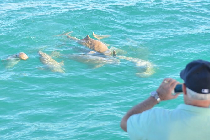 Snubfin Dolphin Eco Cruise from Broome - Who this Snubfin Dolphin eco cruise suits best