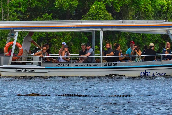Solar Whisper Daintree River Crocodile and Wildlife Cruise - Solar Whisper: What Makes This Daintree Crocodile Cruise Different