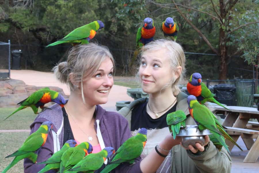 Somersby: Australian Reptile Park Day Pass - 9am to 5pm - Accessibility and Getting Around Without Stress