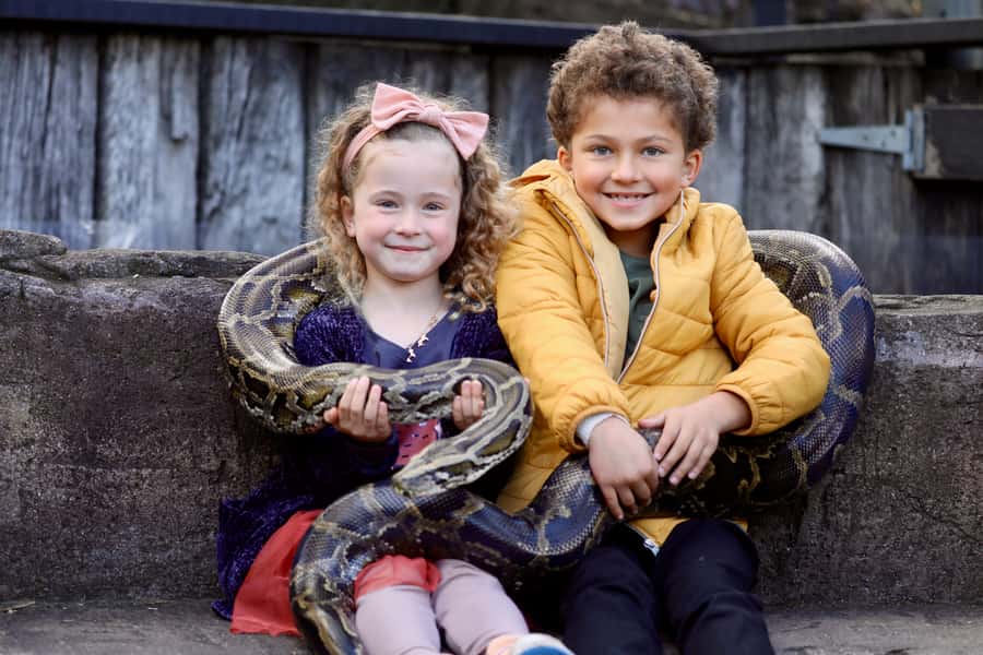 Somersby: Australian Reptile Park Day Pass - 9am to 5pm - Who This Day Pass Is Best For (And Who Might Rethink It)