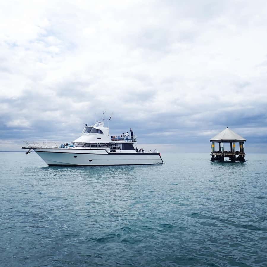 Sorrento,Mornington Peninsula: Wildlife & Sightseeing Cruise - Key things I’d plan around on this cruise