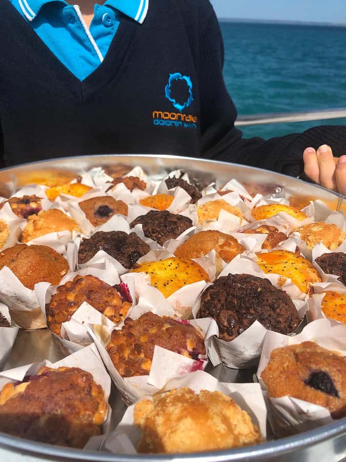 Sorrento,Mornington Peninsula: Wildlife & Sightseeing Cruise - Booking tips that help you get the best sightings