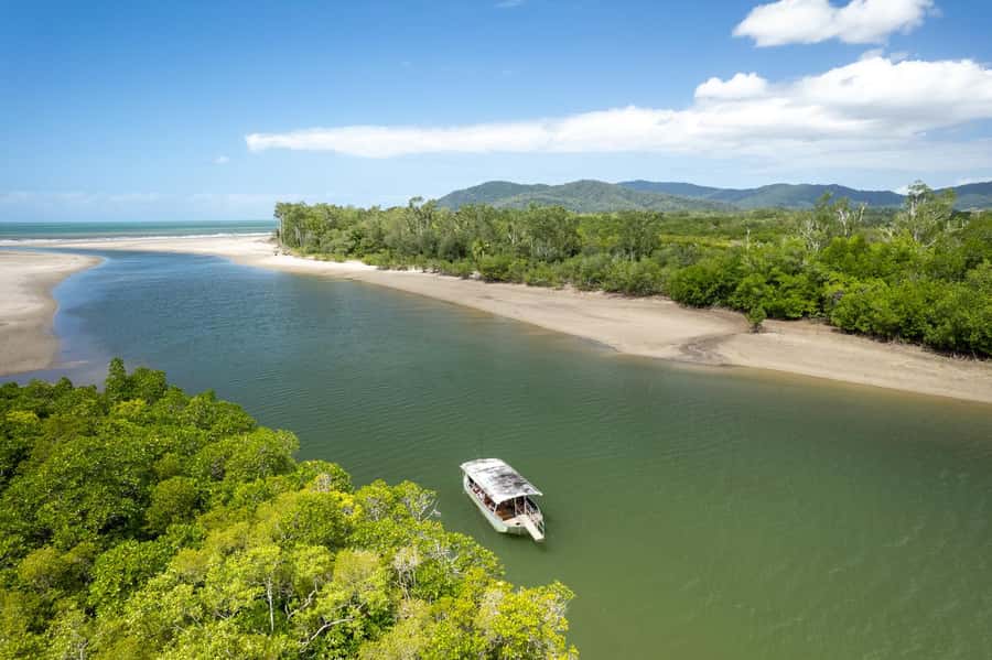 Southern Daintree Explorer Tour - Half Day - Small-group comfort and the little extras that help