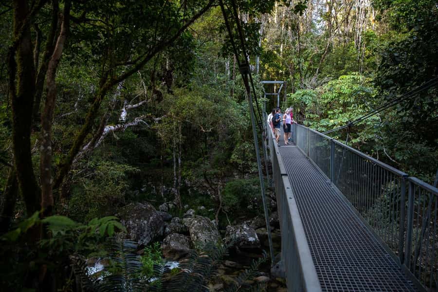Southern Daintree Explorer Tour - Half Day - Optional Wildlife Habitat entry: consider it if you want more time