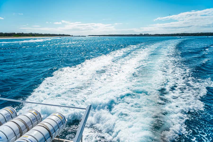 Spirit of Gold Coast 2.5-Hour Whale Watching Tour - Commentary with a purpose: marine biologist facts you can use