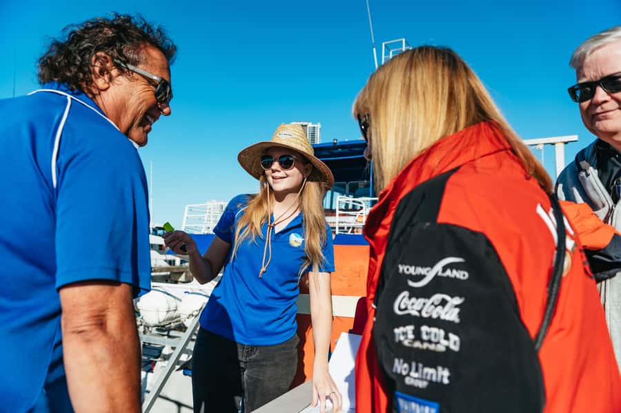 Spirit of Gold Coast 2.5-Hour Whale Watching Tour - Comfort and motion: seasickness reality and how the crew helps