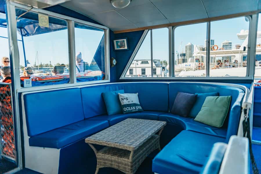 Spirit of Gold Coast 2.5-Hour Whale Watching Tour - Price and value: what $52 buys you in the real world