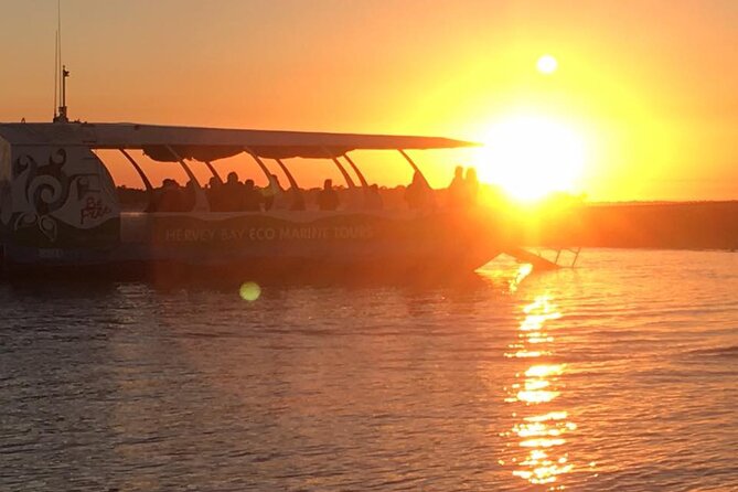 Spirit of Hervey Bay Whale Watching Cruise - Who This Cruise Suits Best