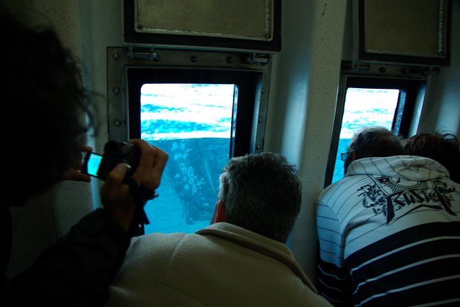 Spirit of Hervey Bay Whale Watching Cruise - Should You Book Spirit of Hervey Bay Whale Watching Cruise?