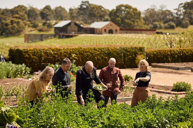 St Hugo Garden to Table Experience & Lunch - The open kitchen Chef’s Table, and why the seat matters