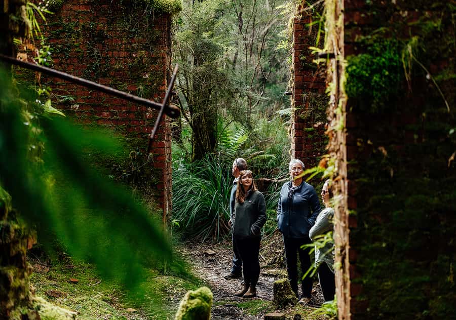 Strahan: The Pillinger Explorer Exclusive Cruise - Pillinger township ruins and the rainforest that took over