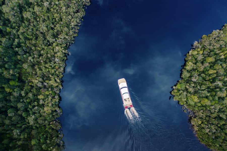 Strahan: World Heritage Cruise on Gordon River with Lunch - Why this Gordon River cruise feels less like a bus trip