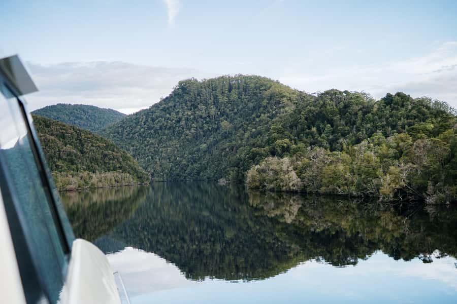 Strahan: World Heritage Cruise on Gordon River with Lunch - Gordon River World Heritage rainforest, from boat to Heritage Landing