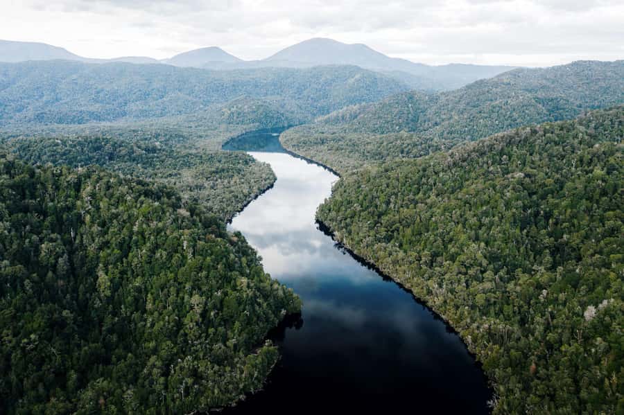 Strahan: World Heritage Cruise on Gordon River with Lunch - The Huon Pine sawmill stop, and why it matters