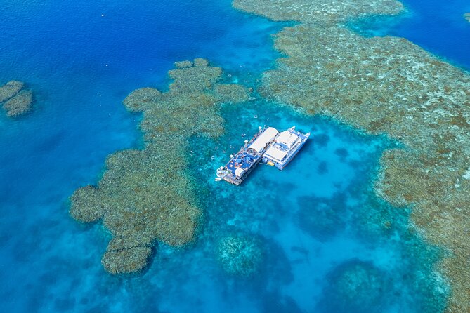 Sunlover Reef Cruises Cairns Great Barrier Reef Experience - The 4 hours at the pontoon: snorkeling, fish life, and the slide