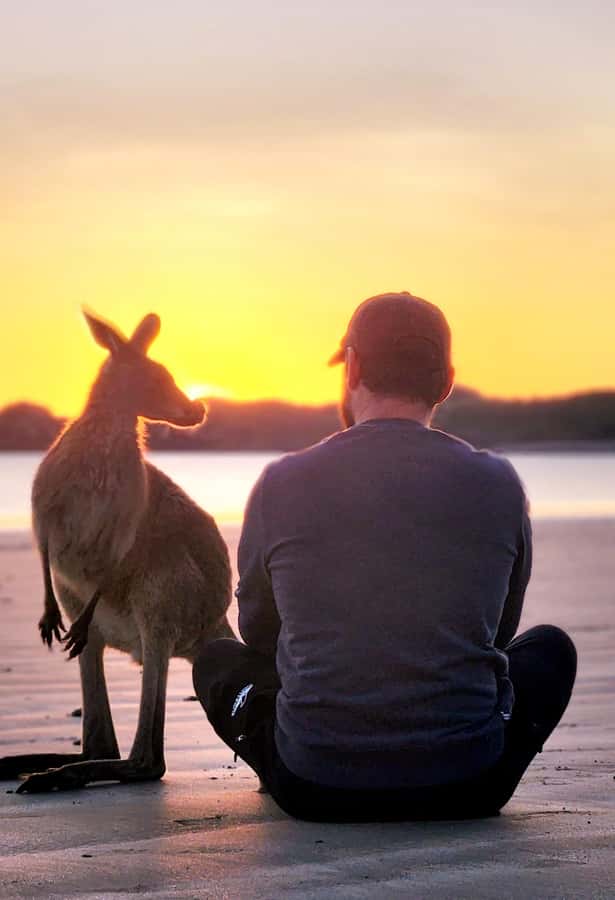Sunrise with the Kangaroos & Wallabies - Airlie Beach - Cape Hillsborough National Park: the short walk with big payoff