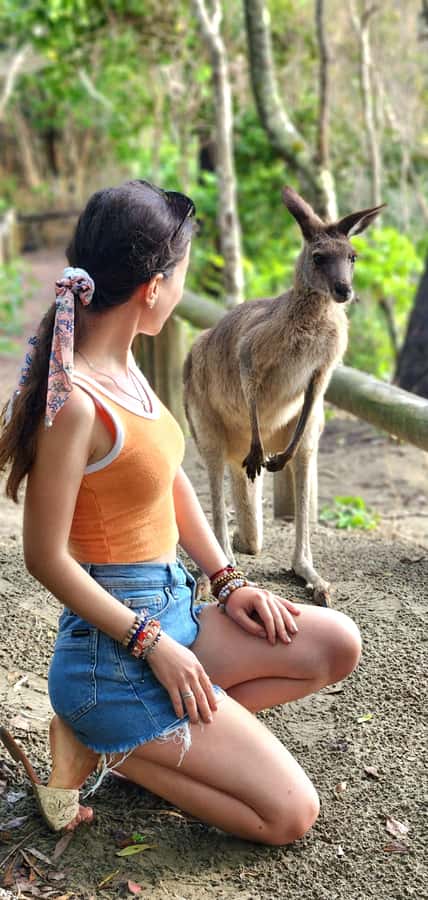 Sunrise with the Kangaroos & Wallabies - Airlie Beach - The early pickup: how to survive 3:15am or 3:45am