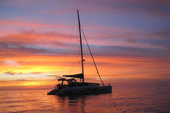Sunset 3-Hour Cruise from Darwin with Dinner and Sparkling Wine - Food that keeps pace with the sunset, 7-course tapas done right