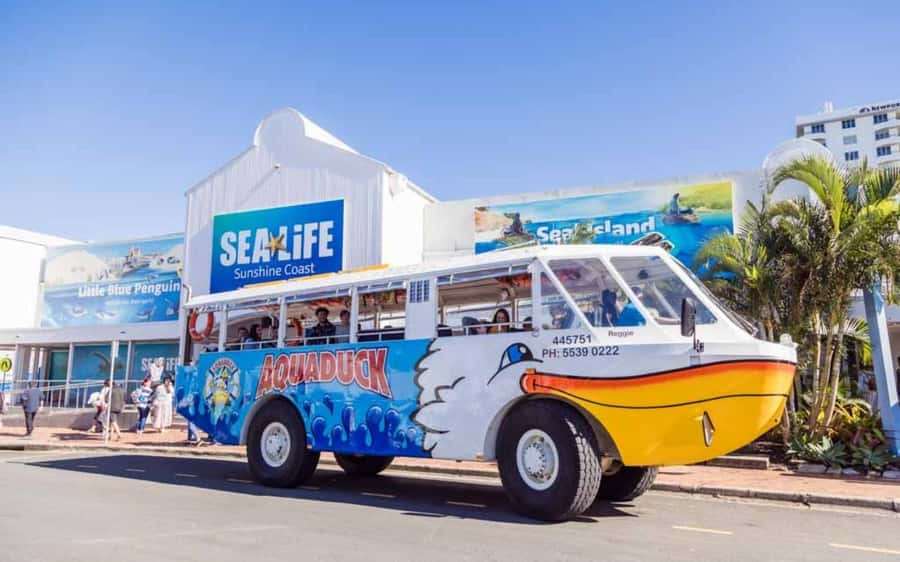 Sunshine Coast: 1-Hour Land and Water Tour - Key things to know before you go